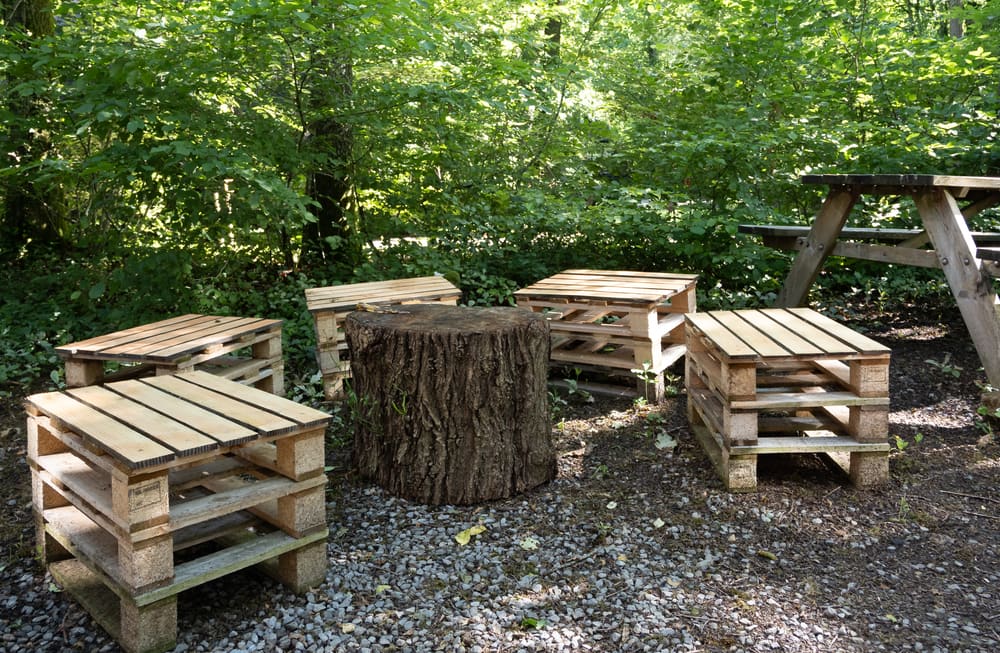 Terras & bos